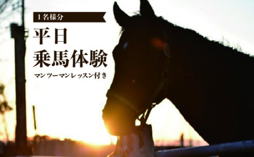 ＜平日＞＜マンツーマンレッスン付き＞乗馬体験　1名様分 ／ チケット 初心者 マンツーマン レッスン 安心 安全 千葉県