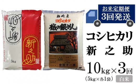 令和6年産新米【五ツ星お米マイスター厳選 3ヶ月定期便】コシヒカリ・新之助 白米 各5kg（計 10kg）×3回（計 30kg）[Y0267] 306898 - 新潟県柏崎市