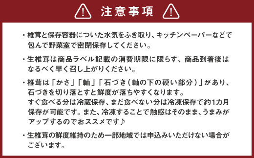 8_9-01 訳あり 佐賀県産 箱生しいたけ 約1kg