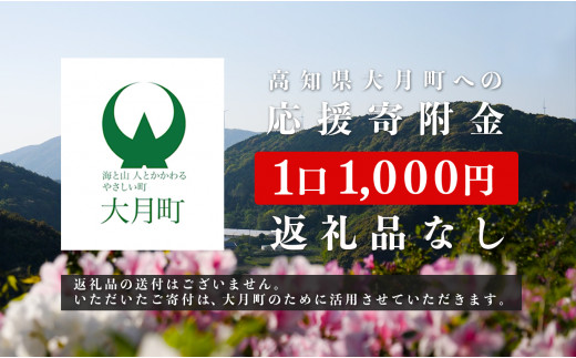 高知県大月町への応援寄附金【返礼品なし】 - 高知県大月町｜ふるさとチョイス - ふるさと納税サイト