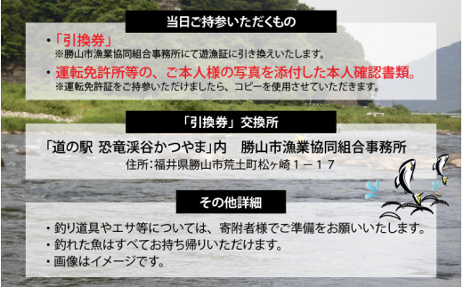 【2023年分 先行予約】九頭竜川（勝山市漁協） 鮎友釣り日券 1名様分 [A-001002]