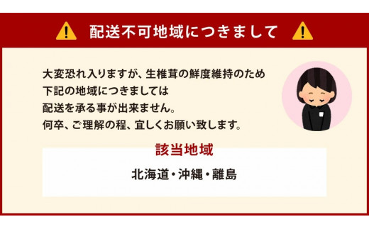 8_9-01 訳あり 佐賀県産 箱生しいたけ 約1kg - 佐賀県鳥栖市｜ふるさと