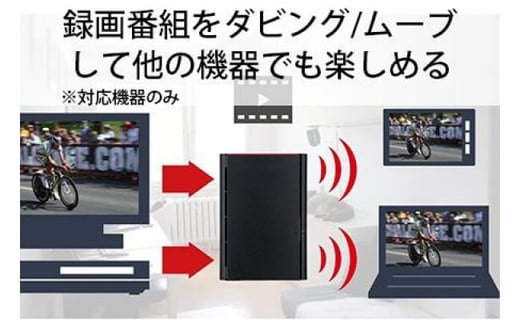 BUFFALO/バッファロー リンクステーション　RAID機能対応　ネットワーク対応HDD(4TB)