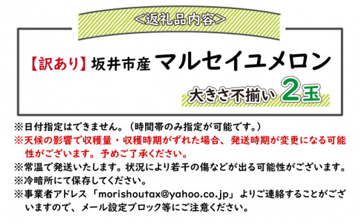 先行予約】【訳あり】マルセイユメロン 3Lサイズ2玉【期間限定】【2023