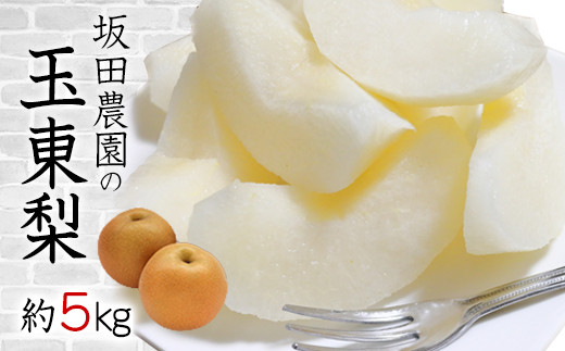 『坂田農園』の玉東梨 約5kg 7-16玉前後《8月中旬-9月末頃より順次出荷》 熊本県玉名郡玉東町産『坂田農園』なし 果物 スイーツ フルーツ デザート  旬 豊水 あきづき 新高