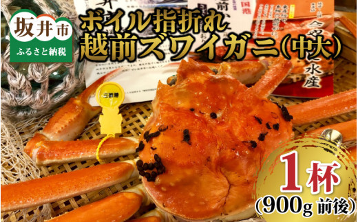 【先行予約】【訳あり】名人が茹でる 指折れ訳あり越前がに(中大)1杯 900g前後　やまに仕込み【3月配送分】[J-4303_03] 307299 - 福井県坂井市