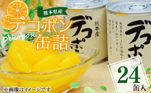 【熊本県産】 デコポン 缶詰 295g×24缶 果物 柑橘 フルーツ