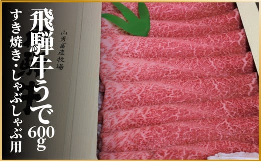 飛騨牛 ウデ スライス すき焼き しゃぶしゃぶ用 600g 牛肉 和牛 肉 ...