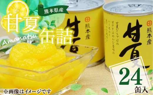【熊本県産】 甘夏 缶詰 295g×24缶 果物 柑橘 フルーツ