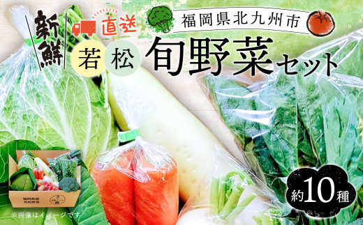 新鮮 直送 季節に合わせた 若松旬野菜 セット (約10種類) 採れたて 旬野菜 北九州市産