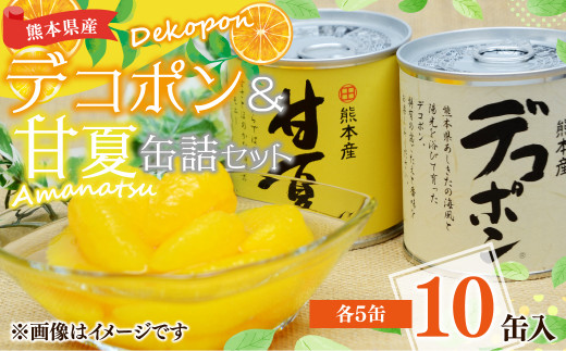【熊本県産】デコポン 甘夏 缶詰 セット 