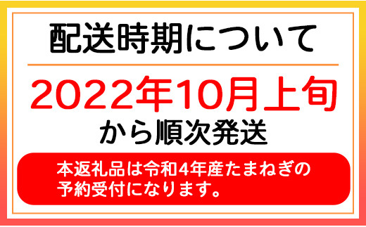 北海道産 南幌町産 たまねぎ 山本農園のたまねぎ Lサイズ 10kg 送料無料 玉ねぎ タマネギ 玉葱 Np1 116 南幌町南幌町 ふるさと納税 ふるさとチョイス