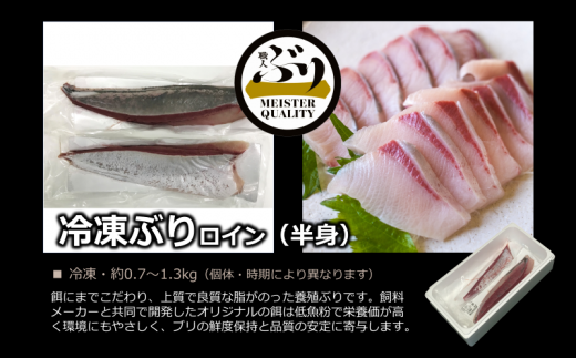 A1 4791 刺身用ぶり 冷凍 皮無 2本 鹿児島県垂水市 ふるさとチョイス ふるさと納税サイト