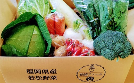 新鮮 直送 季節に合わせた 若松旬野菜 セット (約10種類) 採れたて 旬野菜 北九州市産