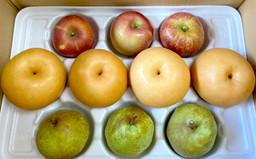 秋の味覚 つめ合わせ セット 約5kg 3種類以上 梨 りんご 柚子 ラ・フランス 柿