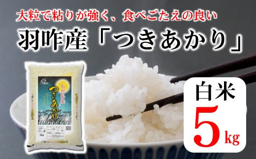 米 令和5年 2kg×5種 計10kg [中橋商事 石川県 宝達志水町 38600608] お