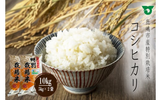 KBS-2　鹿嶋市の子どもたちが食べている特別栽培米コシヒカリ（5kg×2袋 計10kg） 白米 こしひかり 精米 お米 茨城県産 国産 送料無料  307180 - 茨城県鹿嶋市