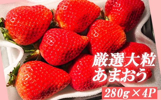 有田産の安心国産レモン約5kg （サイズ混合）※2023年10月中旬～2024年3