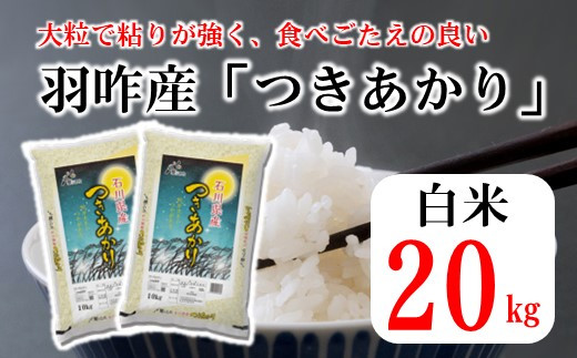 [A153] 《R5年産》羽咋産つきあかり 20kg（10kg×2袋） - 石川県