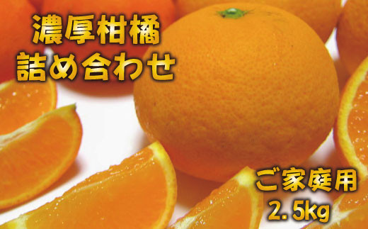 有田育ちの濃厚柑橘詰め合わせセット(ご家庭用)　約2.5kg【ard033A】 765038 - 和歌山県串本町