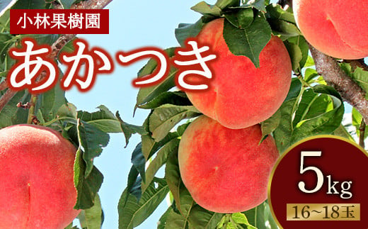 福島の桃 あかつき 5kg（16～18玉） 【小林果樹園】 先行予約 フルーツ 果物 もも モモ momo F20C-591 307700 - 福島県伊達市