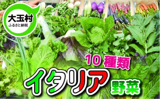 イタリア野菜セット(8～10種類)【01127】 299368 - 福島県大玉村