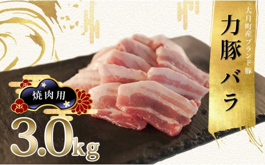 【高知県 大月町産ブランド豚】力豚バラ　焼き肉用 3kg 790735 - 高知県大月町