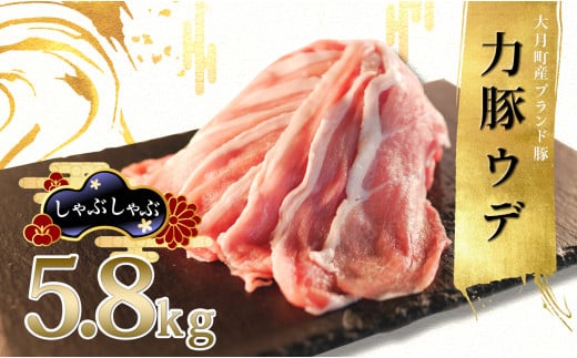 【高知県 大月町産ブランド豚】力豚　ウデ肉5.8kg 790704 - 高知県大月町