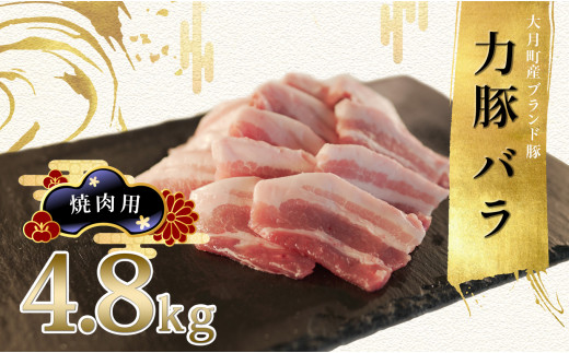 【高知県 大月町産ブランド豚】力豚バラ　焼き肉用 4.8kg 790736 - 高知県大月町