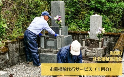 お墓掃除代行サービス（１回分）  お墓掃除 代行サービス 1回分 217021 - 徳島県海陽町