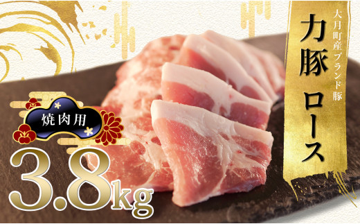 【高知県 大月町産ブランド豚】力豚ロース　焼き肉用3.8kg 790719 - 高知県大月町