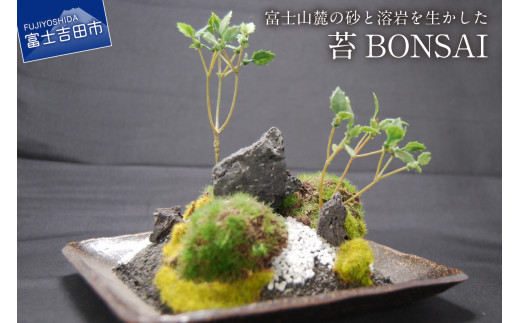 富士山麓の砂と溶岩を使った『和モダン　創作　苔BONSAI  』(大)〈角皿・古瀬戸〉
