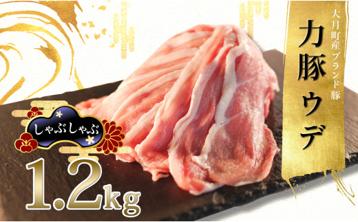 【高知県 大月町産ブランド豚】力豚　ウデ肉1.2kg 790702 - 高知県大月町