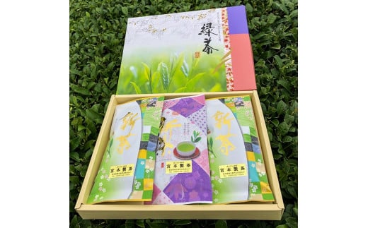 B133-10 あじわい緑茶セット 412023 - 熊本県芦北町