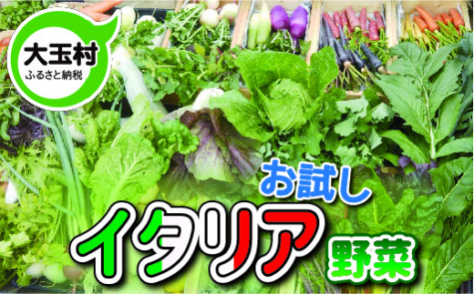 お試しイタリア野菜セット(5種類)【01055】 - 福島県大玉村｜ふるさと 