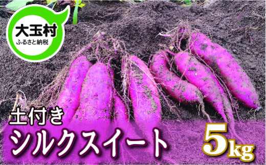 【大玉村産】規格外土付きさつまいもシルクスイート5kg【14004】