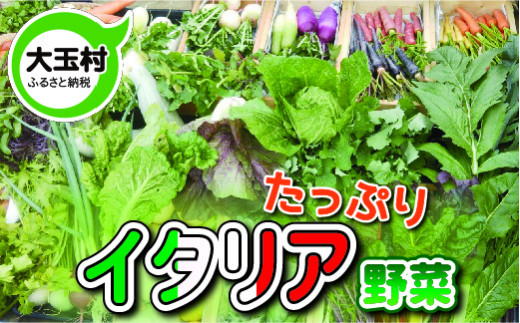 たっぷりイタリア野菜セット(10種類×2)【01057】