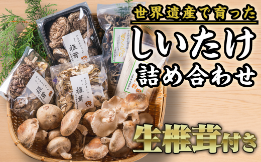 やきやまふぁーむ自慢の椎茸製品に、生しいたけまでセット！
世界遺産「熊野古道」の麓で育てた！おいしい椎茸セットを産地直送！