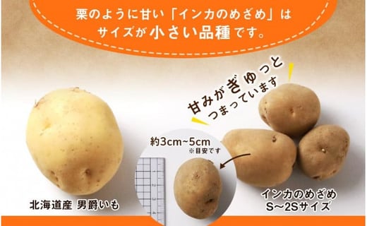 2024年 新じゃが 】 インカのめざめ S～2Sサイズ 20kg いも 芋 じゃがいも ジャガイモ インカ 野菜 北海道 千歳 -  北海道千歳市｜ふるさとチョイス - ふるさと納税サイト