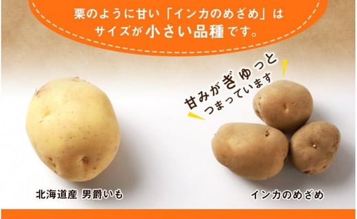 2024年 新じゃが 】インカのめざめ 混合 15kg いも 芋 じゃがいも ジャガイモ インカ 野菜 北海道 千歳 -  北海道千歳市｜ふるさとチョイス - ふるさと納税サイト