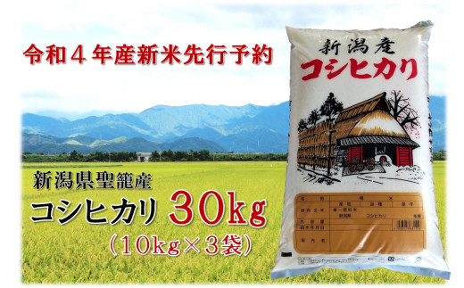 【令和4年産新米先行予約】新潟県聖籠産米コシヒカリ 30kg