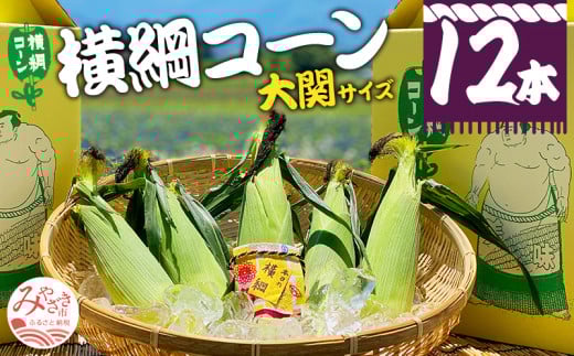 【期間・数量限定】横綱コーン(大関サイズ)_M244-002 341318 - 宮崎県宮崎市