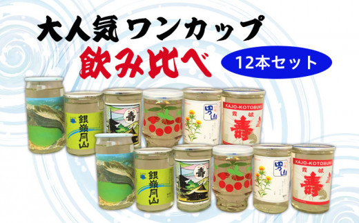 大人気ワンカップ飲み比べ 12本セット FY22-222