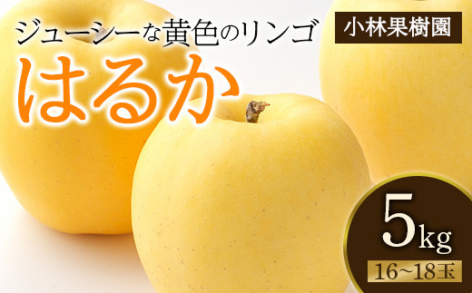 【小林果樹園】黄色いりんご はるか 5kg（16～18玉） F20C-595