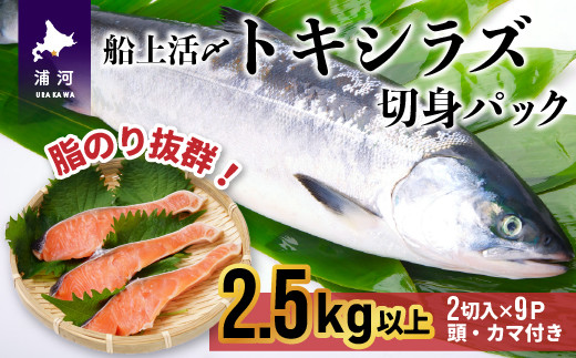 船上活〆時鮭 時しらず 切身1尾分 あら付き 2 5kg以上 生冷 02 860 浦河町浦河町 ふるさと納税 ふるさとチョイス