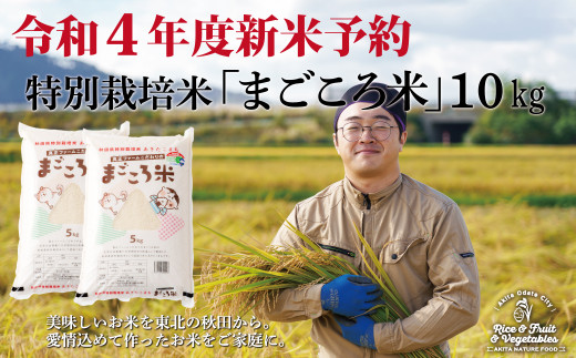 60P9008 【令和4年産新米予約】秋田県特別栽培米あきたこまち「まごころ米」10kg