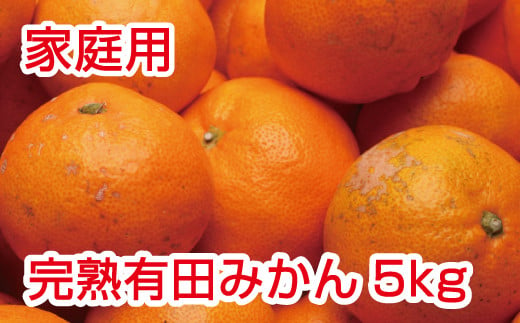 家庭用　完熟有田みかん5kg+150g（傷み補償分）【わけあり・訳あり】【光センサー選別】＜2024年11月～2025年1月下旬ごろに順次発送＞【ikd007B】 765084 - 和歌山県串本町