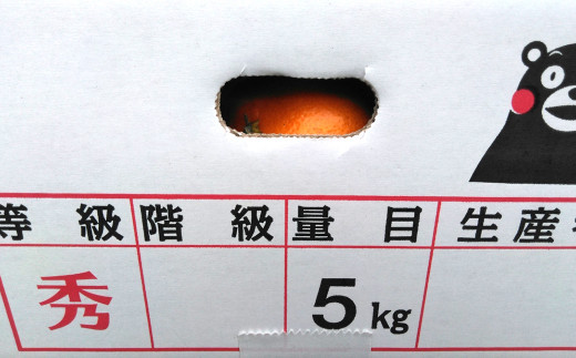 みかん 5kg(サイズ2L～2S) 蜜柑