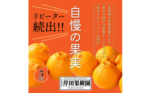 令和5年岩手県産無農薬 乾燥ワラビ 800g 激安一掃 - adaide.co.id