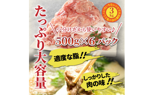 半真空パック　切り落とし　5kg 半真空パック 切り落とし 5kg